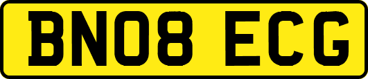 BN08ECG