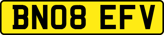 BN08EFV