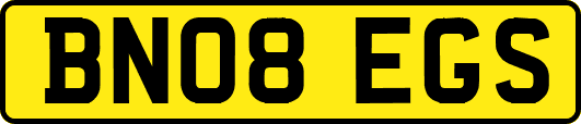 BN08EGS