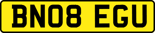 BN08EGU