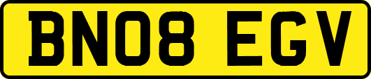 BN08EGV