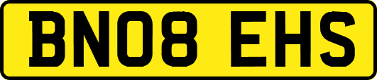 BN08EHS