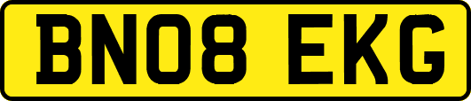 BN08EKG