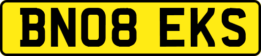 BN08EKS