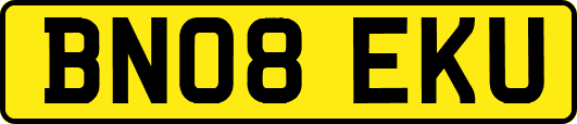 BN08EKU