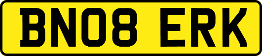 BN08ERK