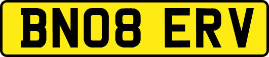 BN08ERV