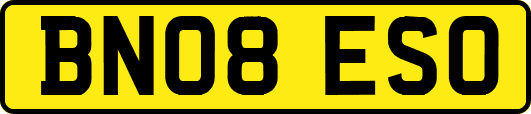 BN08ESO