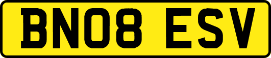 BN08ESV