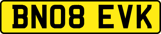 BN08EVK
