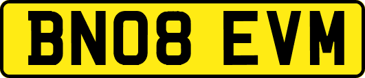 BN08EVM