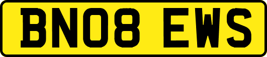 BN08EWS