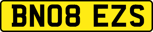 BN08EZS