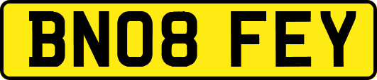 BN08FEY