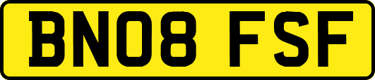 BN08FSF