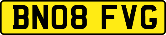 BN08FVG
