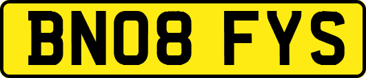 BN08FYS