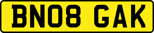 BN08GAK