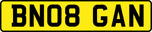 BN08GAN