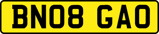 BN08GAO