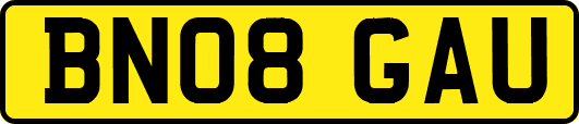 BN08GAU
