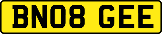 BN08GEE