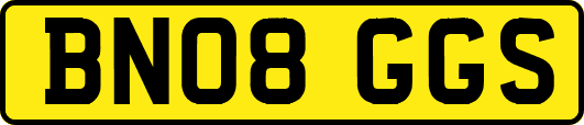 BN08GGS