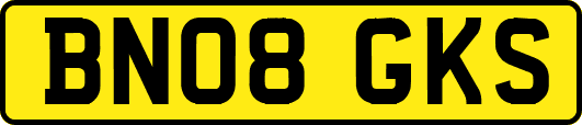 BN08GKS