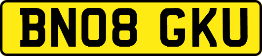 BN08GKU