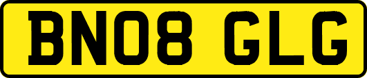 BN08GLG