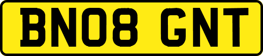 BN08GNT