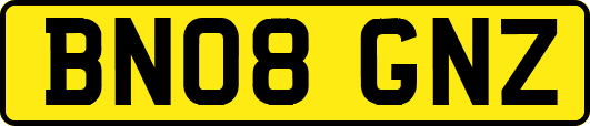 BN08GNZ