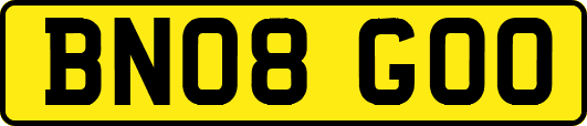 BN08GOO