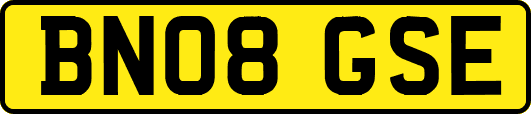 BN08GSE