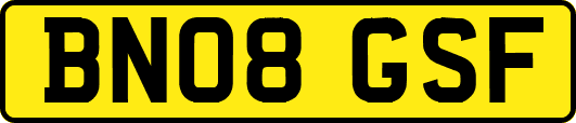 BN08GSF
