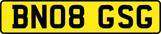 BN08GSG