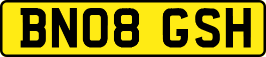 BN08GSH
