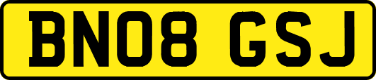 BN08GSJ