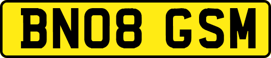 BN08GSM