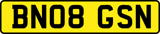 BN08GSN