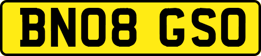 BN08GSO