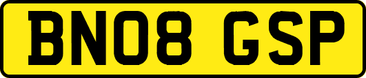 BN08GSP
