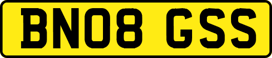 BN08GSS
