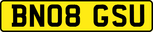 BN08GSU