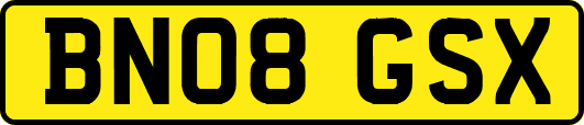 BN08GSX