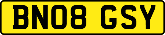 BN08GSY