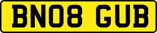 BN08GUB