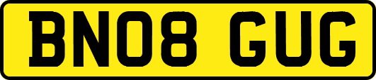 BN08GUG