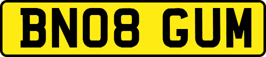 BN08GUM