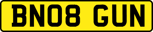 BN08GUN